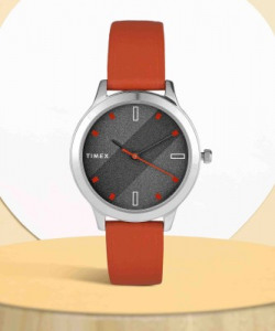 Timex Watch Starts at Rs.529.