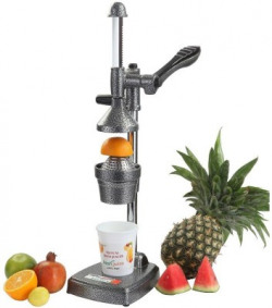 BERG Aluminium Aluminium Hand Juicer For Fruits Juice Hand Juicer(Silver)