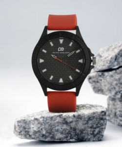 PETER ENGLAND Analog Watch  - For Men