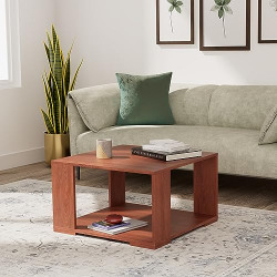Amazon Brand - Solimo Aster Engineered Wood Coffee Table (1 Shelf, Walnut Finish) | Square Coffee Table| Wooden Table | Centre Table for Living Room | Centre Table