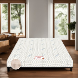 COIRFIT BIOLIFE 7-Zone LATEX with Talalay Tech. 8 inch ...