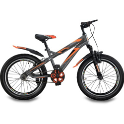 Sheldon Thrill Cycle for Kids with Power Break 20 T Mountain Cycle(Single Speed, Black, Only Front Suspension)