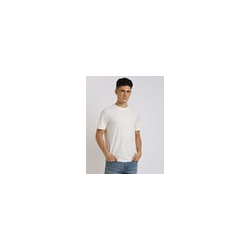 Regular Fit Cotton Crew-Neck T-Shirt