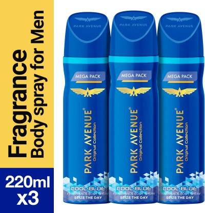 PARK AVENUE Original Collection Cool Blue Deodorant Spray  -  For Men(660 ml, Pack of 3)