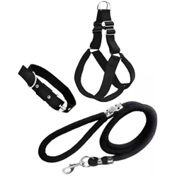 Agirav No Pull Dog Harness - Step in Dog Harness and Leash for Small Medium Large Dog - Escape Proof Adjustable Soft Leash Collar Set for Walking Training Hiking Outdoor, 15 Cm, 15 Cm