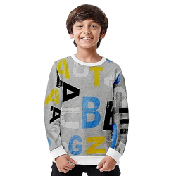 Cloth Theory Boys Cotton Crew Neck Sweatshirt (SWSBY21_GREY_3-4years_GREY_3 Years-4 Years)