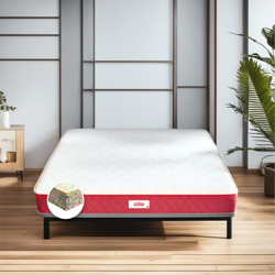 Coirfit Bone Zone 4 Inch Single Back Care Bonded Foam Mattress | Extra Firm Mattress |Spine Protective | Rebotech Technology (L:72 x W:35 Inch) | 3 Years Warranty
