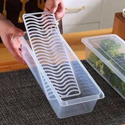 AK10ZONE Plastic Fridge Container  - 1500 ml(Multicolor)