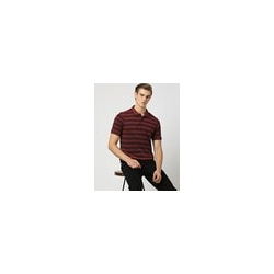 Striped Polo T-Shirt