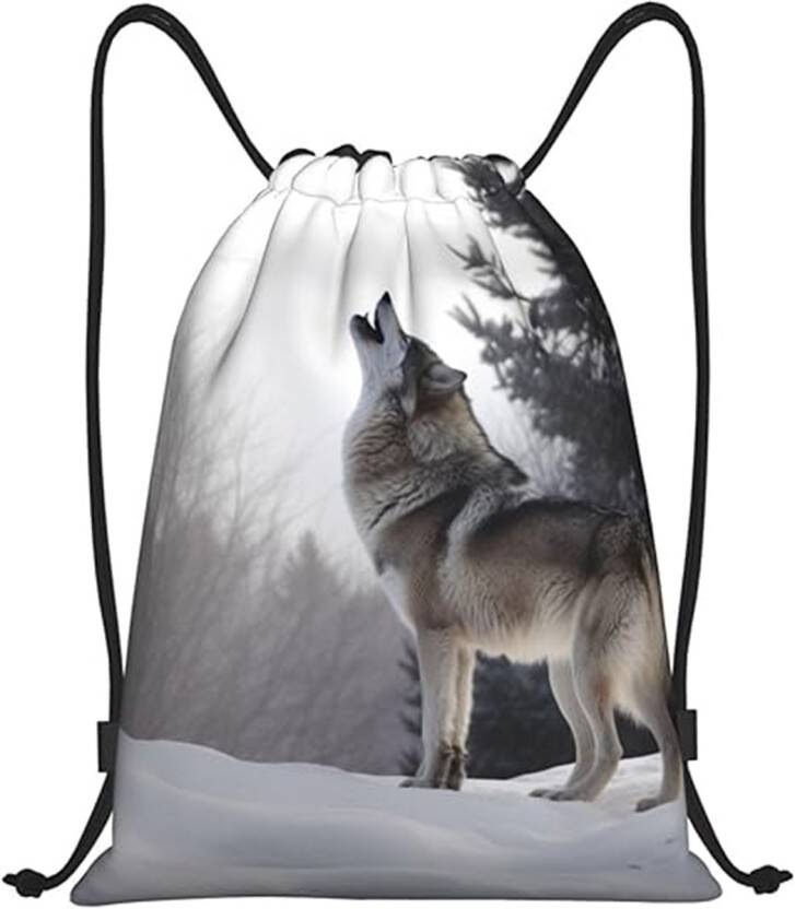 Small 20 L Backpack WOLF(Black)