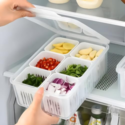 Jig-Tik Plastic Fridge Storage Boxes Freezer Storage Containers, Container For Kitchen Storage Set, Storage In Kitchen, Vegetable Storage,Refrigerator Food Box(6 Grid Box(Pack Of 1)),Multicolor