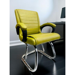KITHANIA Executive Office Chair Home Study Library Chair with Chrome Steel and Cushioned seat Back (1, Green, Double Support Steel Frame)