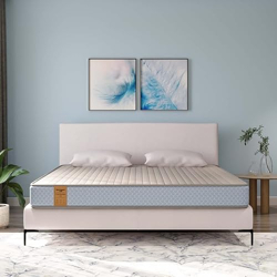Springwel easy TruComfort Pro 6 inch Latex foam Twin Size Mattress | Medium Firm |Temperature regulater Knitted Premium Fabric with Outlast Technology | Twin Size Mattress | Anti Skid Fabric (Size- 78x48x6 inches)