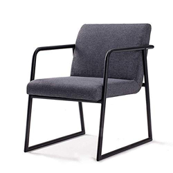 APRODZ Steel Dining Chair Modern Minimalist Lounge Chair, Balcony Chair, Bedroom, Cafe, Dining Room, Living Room, Etc. Modern Style