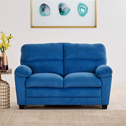 Home Centre Mojo Velvet 2-Seater Sofa - Blue