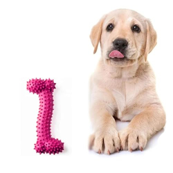 URBANPET Chew toys for dogs | 4 Inches Long dog chew toys, chew toys for puppies and also dog toys & dog accessories bone| Dog Toy for Medium & Large Breeds| Durable & Non Toxic Interactive Dog Toy