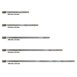 GLOBOMOTIVE Premium Heavy Duty Stainless Steel (SS-304) Self Locking Cable Ties/Zip Ties (5 Pcs, 250 mm x 4.6 mm)