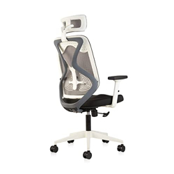 CELLBELL Capree C190 Ergonomic Mesh Home & Office Chair Imported Pneumatic Hydraulic|2D Adjustable Arm Rest (High-Back), White