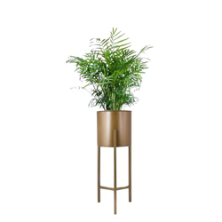 STAND MASTER Golden Color Metal Flower Pot with Modern Style Tri Leg Stand for Indoor and Outdoor Pot Holder in Small Size (Small Planter-1)