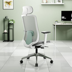 Green Soul Cosmos Pro Premium Office Chair | High Back | Mesh Ergonomic Home Office Desk Chair (Sage Green) | DIY Installation| 3 Years Warranty