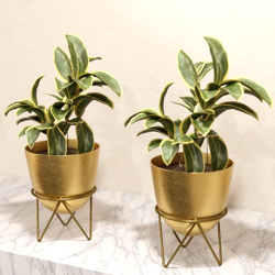 Lifelong Set of 2 Plant Stand for Balcony & Living Room Capacity 10Kg- Anti-Rust Pot Stand for Outdoor Plants & Indoor Planters - Gamla, Planter, Flowerpot, Garden, Plant Stands for Balcony Decoration