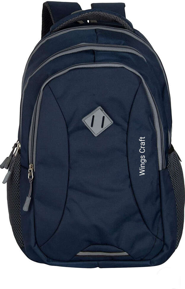 Blue spacy comfortable 4th to 10th class casual school Bag (Blue, 25 L) 25 L Bac... more