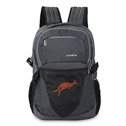 Protecta Enigma 30 L Water Repellant Backpack for Laptops Up to 15.6 Inch - Grey