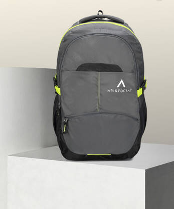 ARISTOCRAT Large 32 L Laptop Backpack Charge Laptop Backpack, 32L With Multiple Utility Pockets & Rain Cover - Grey(Grey)