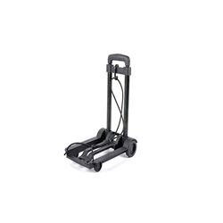 Bigapple Stainless Steel, Plastic Portable Platform Hand Trolley, Heavy Duty 2 Wheel Solid Construction Utility Cart Compact and Light Weight with 35kg Loading (Black)