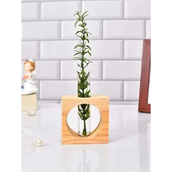 Ancient Shoppee Wooden 1 Glass Test Tube Home Decor Planter Modern Flower Vase with Wood Stand Plant Propagation Natural