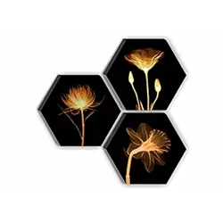 SAF Set of 3 Hexagon Preety Brown Floral UV Textured MDF Home Decorative Gift Item Painting 17 Inch X 17 Inch SANFHX15SMALL