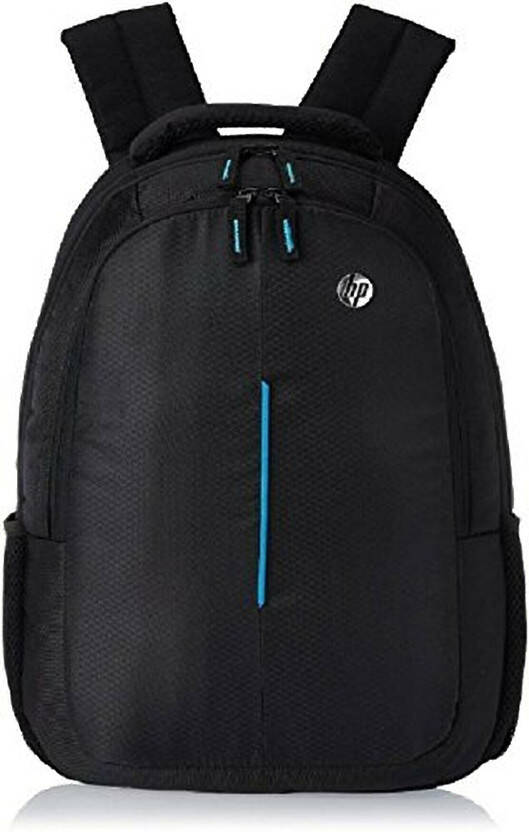 15.6 L Laptop Backpack Laptop Backpack(Black)