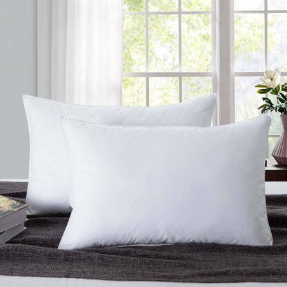 Flipkart SmartBuy 18043-2-16x24 Cotton Solid Sleeping Pillow Pack of 2(White)
