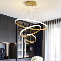 Desidiya Modern Double 3-Ring LED Pendant Light Lamp - Warm White Hang