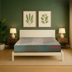 Repose Eyelidz Spine Pro Orthopaedic Memory Foam Mattress (Queen, 75X6