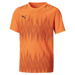 Puma Men's Polyester Slim T-Shirt (65683102_Shocking Orange-Asphalt 7-8 Years)