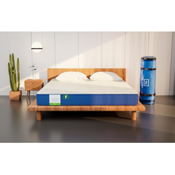 Flo Ortho Aloe Vera Infused Orthopedic Mattress with PainRelease Techn