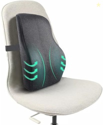 Sleepsia Lumbar Support Memory Foam Orthopedic Back Cushion  Back Rest