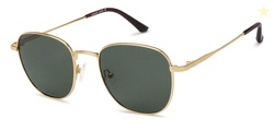 VINCENT CHASE EYEWEAR Unisex Adult By Lenskart | Full Rim Round | Polarized and 100% UV Protected | VC S13119 Sunglasses