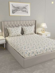 Raymond Home Bedsheet with 2 Pillow Covers