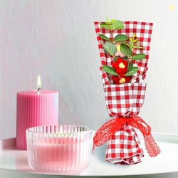 Cortina Handmade Crochet Artificial Flowers with Light | Aesthetic Roo