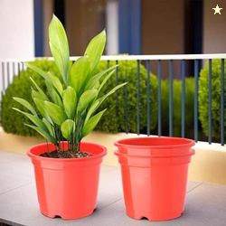 Kuber Industries (Pack of 3) Flower Pot | Fuldani Flower Pot | (8 Inch