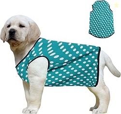 Western Era Funky Soft Cotton Dog T-Shirt | Comfortable & Breathable D