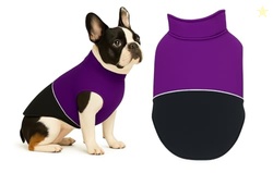 The Pets Company Dog Winter Coat Jacket, Cloth, Windproof, Reversible,