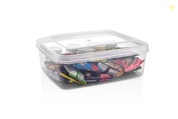 Aristo 333 Kitty Plastic Container for Home Storage, Staionery Transpa