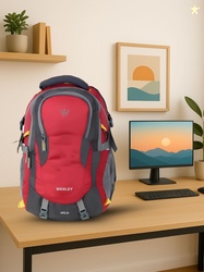 Wesley Spartan Unisex Colourblocked cBackpack