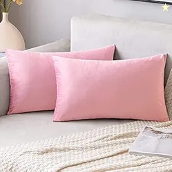 Pack of 2, Velvet Soft Solid Decorative Rectangular Throw Pillow Cover