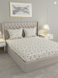 Raymond Home Beige & Blue 110TC Microfiber Double Queen Bedsheet Set 2