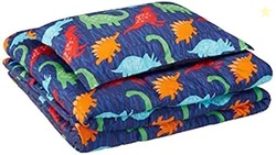 AmazonBasics Kid's Comforter Set - Soft Easy-Wash Microfiber - Twin, M