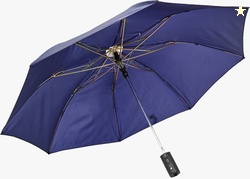 Flipkart SmartBuy 2 fold Auto Open Polyester Umbrella (Blue)